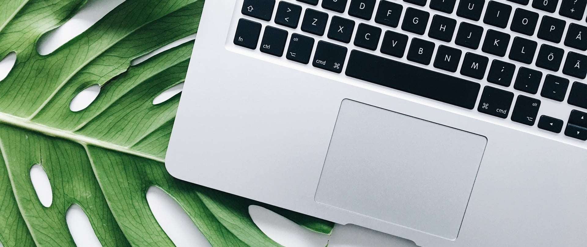 New Digital Services for Your Business